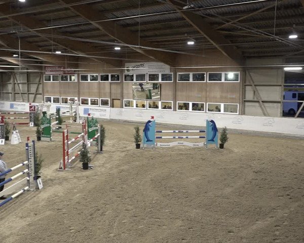 Reitturnier Henau 2023