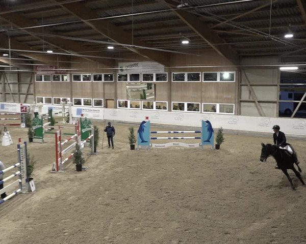 Reitturnier Henau 2023