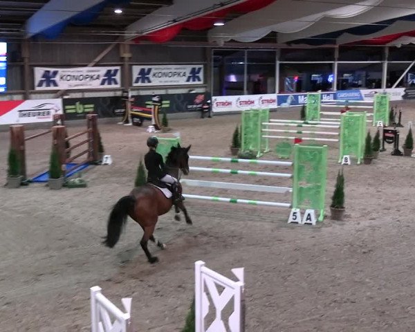 2. Nordic Jumping event Negernbötel 2023