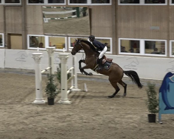 Reitturnier Henau 2023