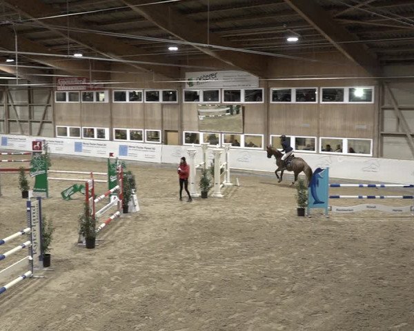 Reitturnier Henau 2023