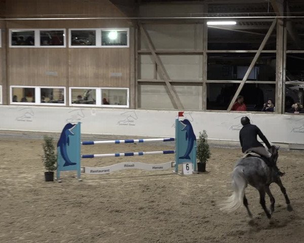 Reitturnier Henau 2023
