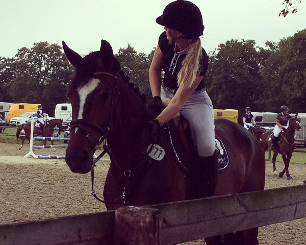 jumper Pia Diva (Westphalian, 2009, from Potential)