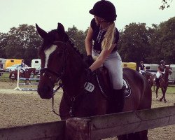 jumper Pia Diva (Westphalian, 2009, from Potential)
