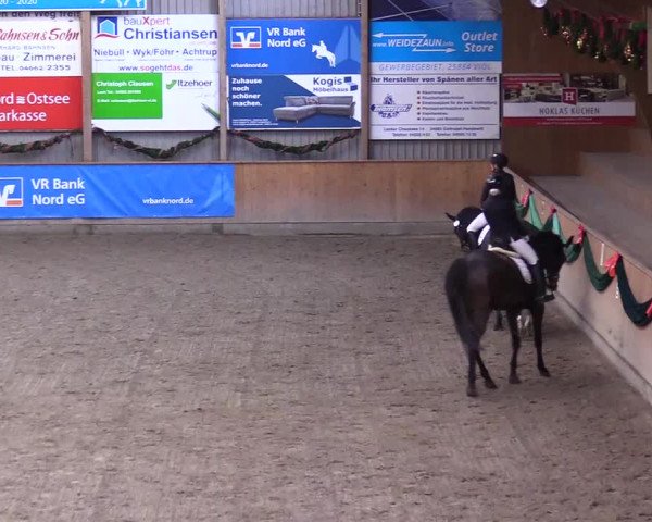 Reitturnier Leck 2023