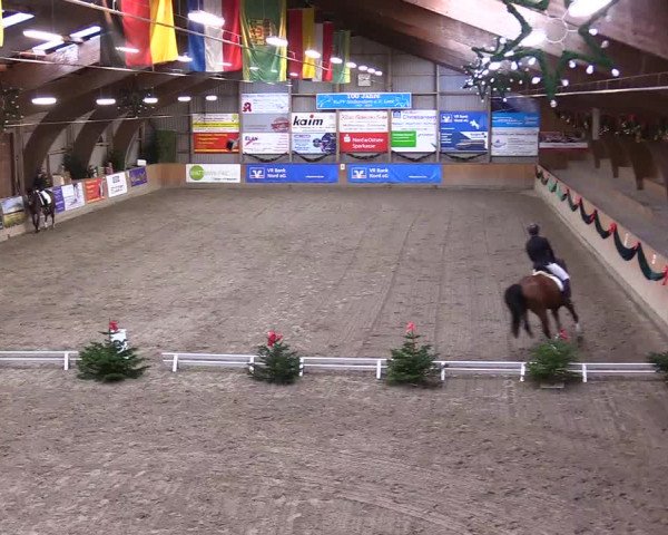 Reitturnier Leck 2023