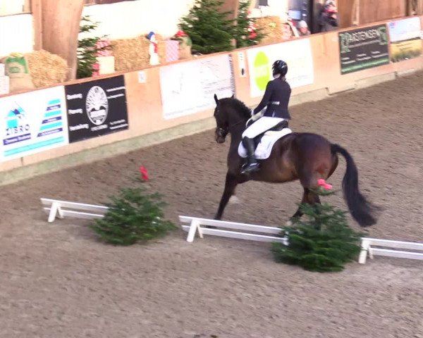 Reitturnier Leck 2023