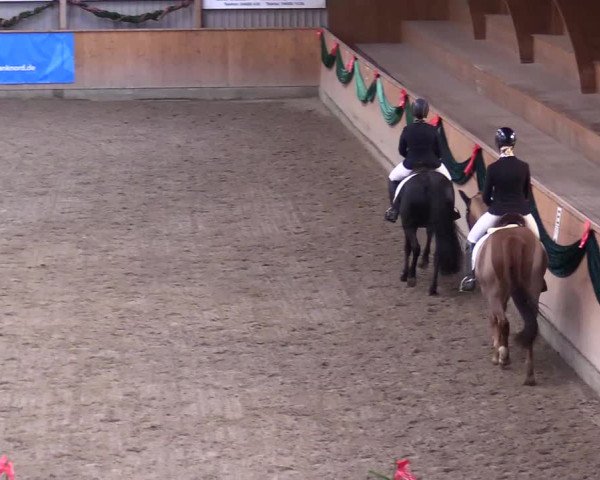 Reitturnier Leck 2023