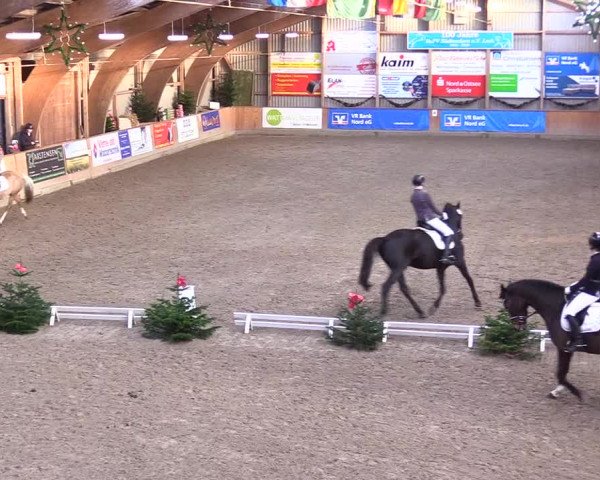 Reitturnier Leck 2023