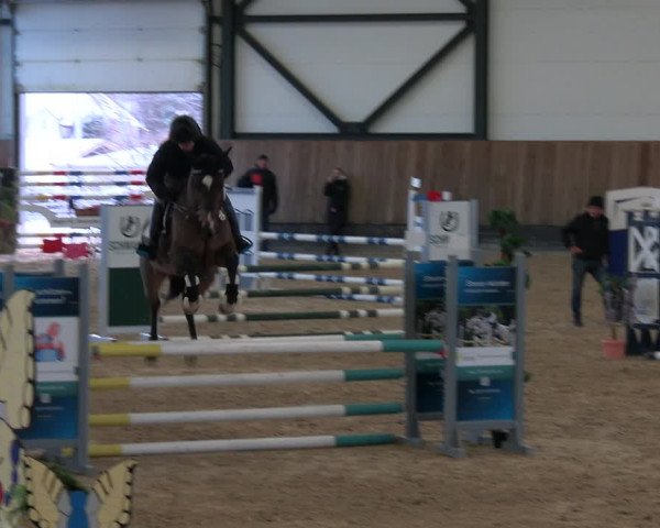 Reitturnier Zwickau 2023