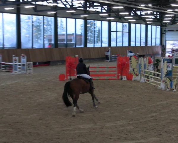 Reitturnier Zwickau 2023