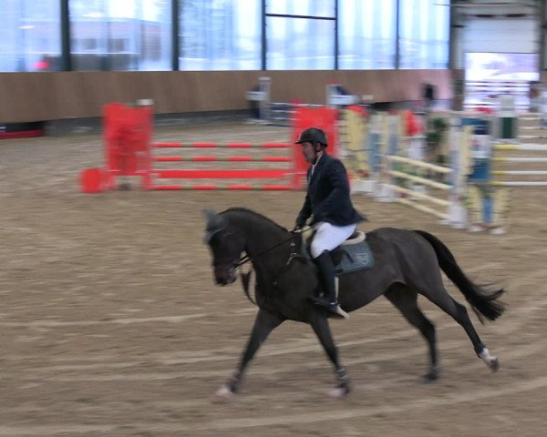 Reitturnier Zwickau 2023