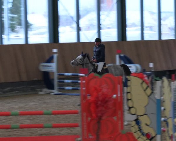 Reitturnier Zwickau 2023
