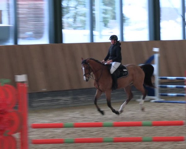 Reitturnier Zwickau 2023