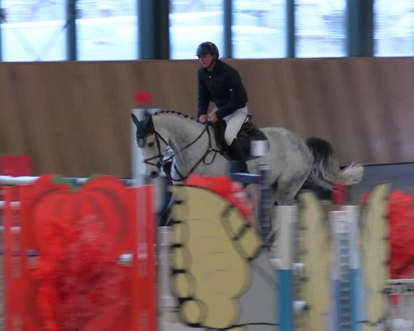 Reitturnier Zwickau 2023