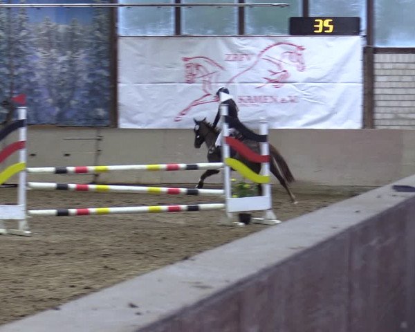 Reitturnier Kamen 2023