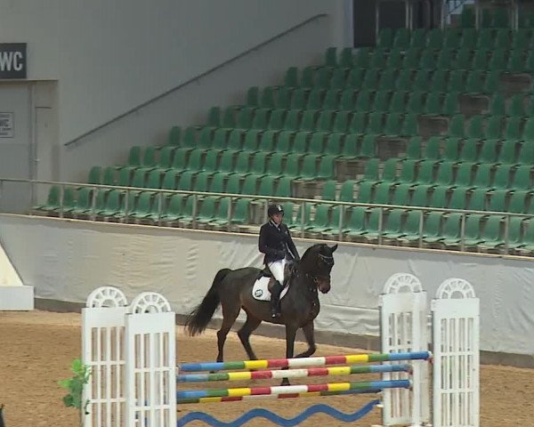 Reitturnier Kreuth/Opf. 2023
