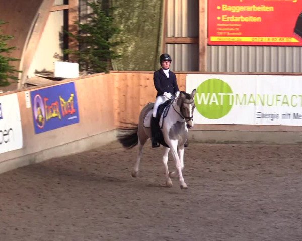 Reitturnier Leck 2023