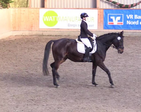 Reitturnier Leck 2023