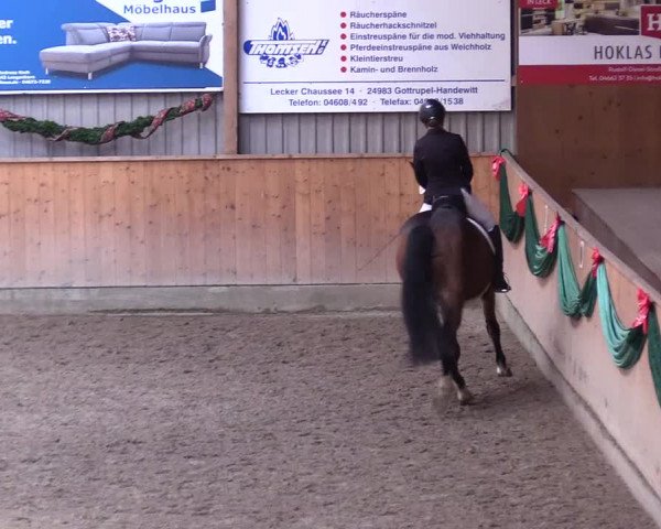 Reitturnier Leck 2023