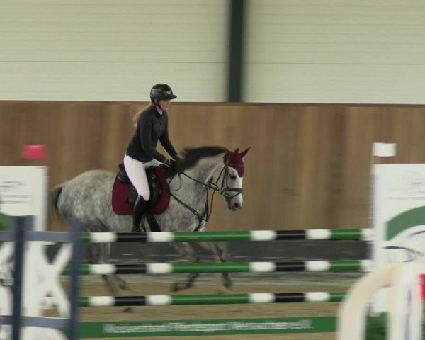 Reitturnier Zwickau 2023