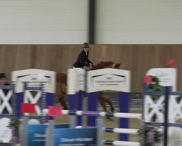 Reitturnier Zwickau 2023
