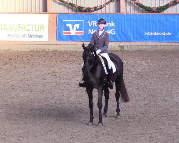 Reitturnier Leck 2023