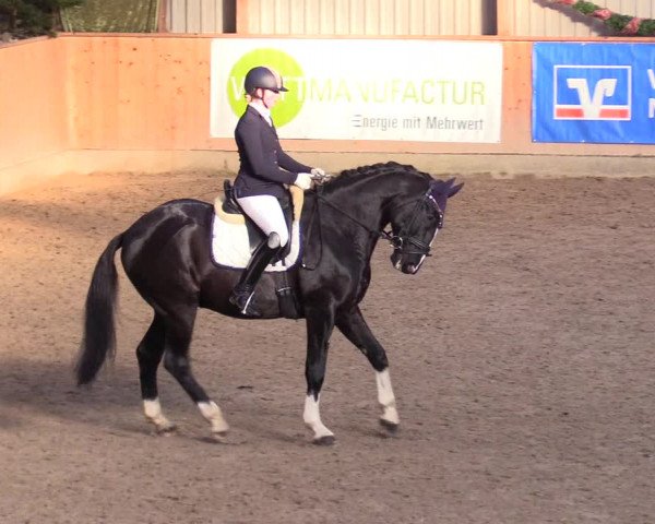 Reitturnier Leck 2023