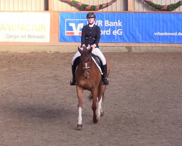 Reitturnier Leck 2023