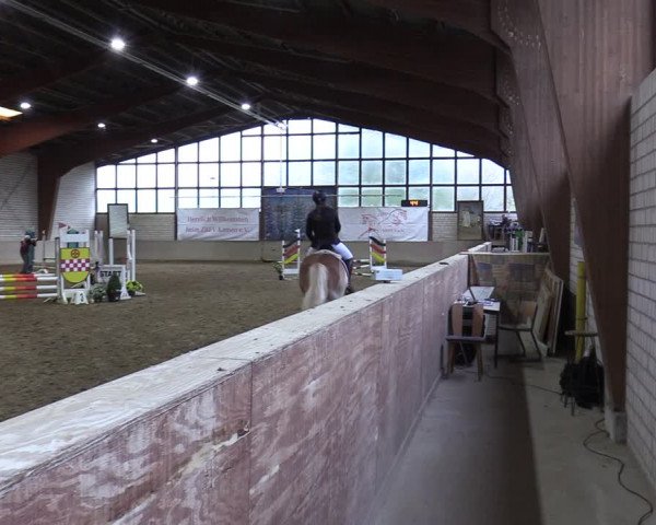 Reitturnier Kamen 2023