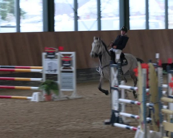 Reitturnier Zwickau 2023