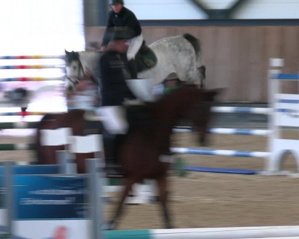 Reitturnier Zwickau 2023
