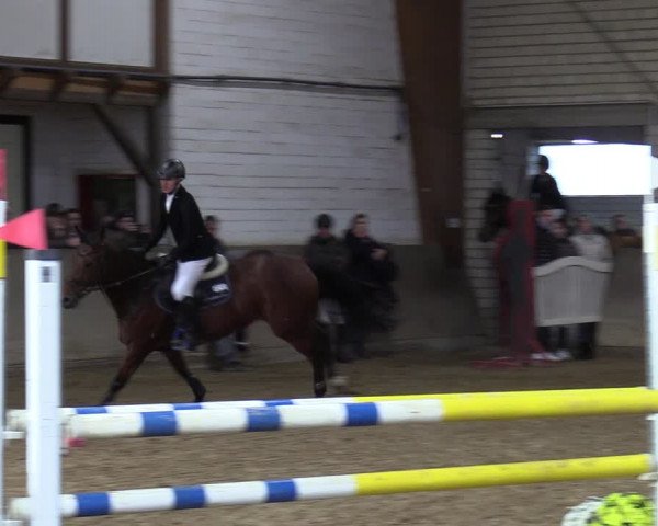 Reitturnier Kamen 2023