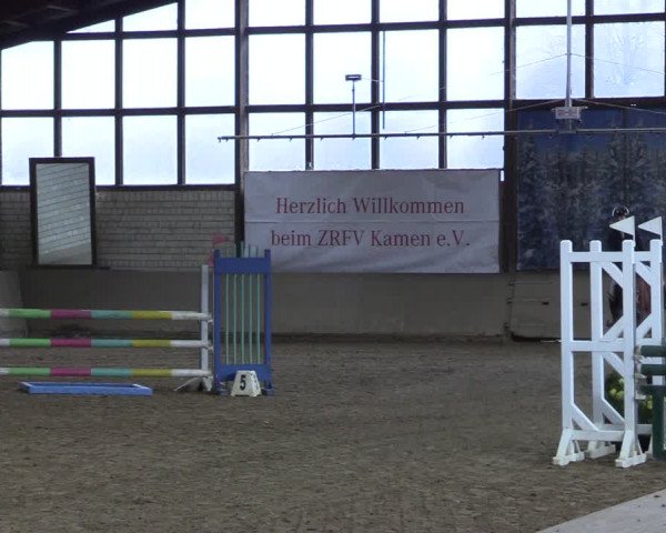 Reitturnier Kamen 2023