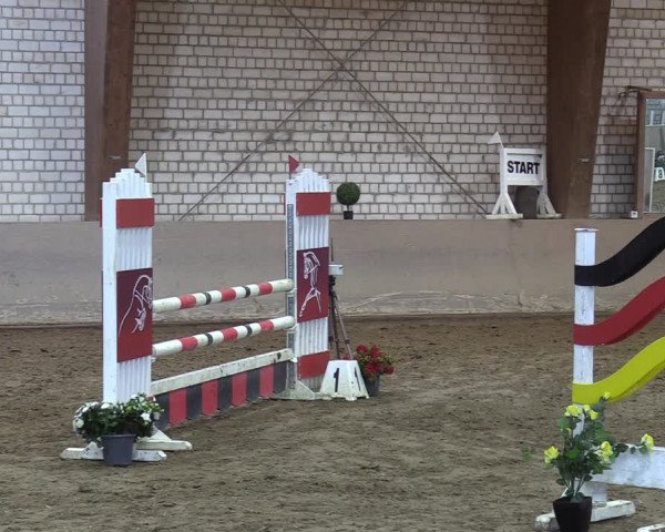 Reitturnier Kamen 2023