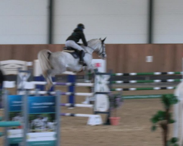 Reitturnier Zwickau 2023