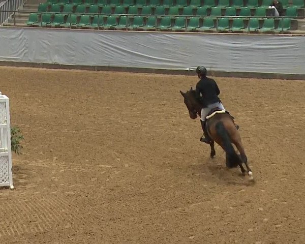 Reitturnier Kreuth/Opf. 2023