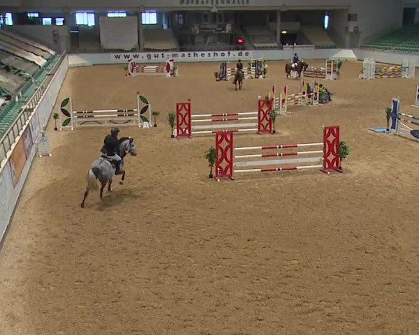 Reitturnier Kreuth/Opf. 2023