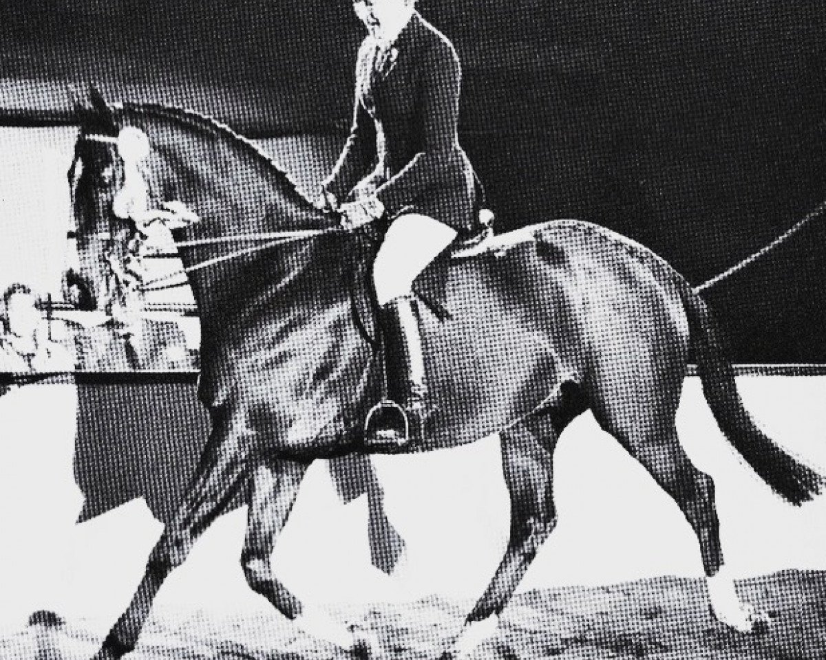 Horse Royal Return xx (English Thoroughbred,  , from Royal Orbit xx)