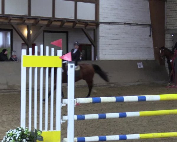 Reitturnier Kamen 2023