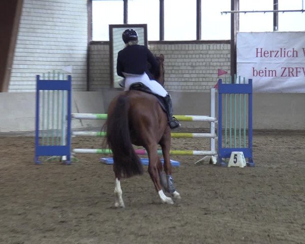 Reitturnier Kamen 2023