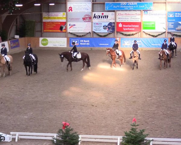 Reitturnier Leck 2023