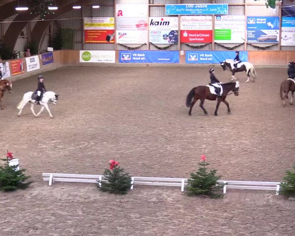 Reitturnier Leck 2023
