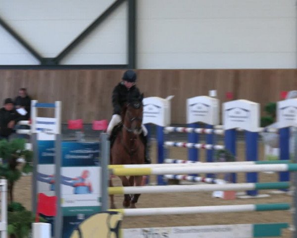 Reitturnier Zwickau 2023