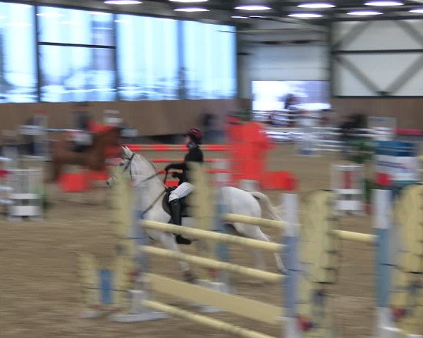 Reitturnier Zwickau 2023