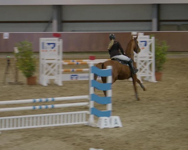 Reitturnier Gahlen 2023