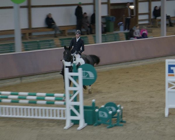 Reitturnier Gahlen 2023