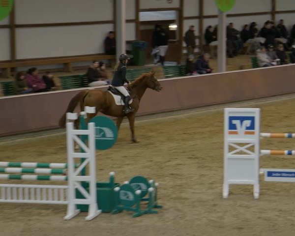 Reitturnier Gahlen 2023