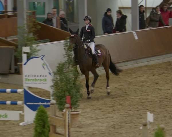 Reitturnier Gahlen 2023