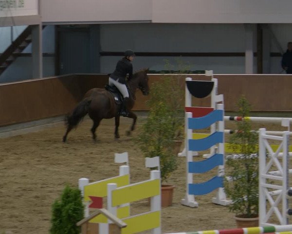 Reitturnier Gahlen 2023